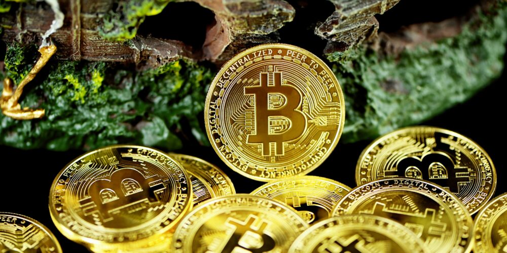 “Expert Forecast on Bitcoin: Is a New Record High Coming Before the Halving?”