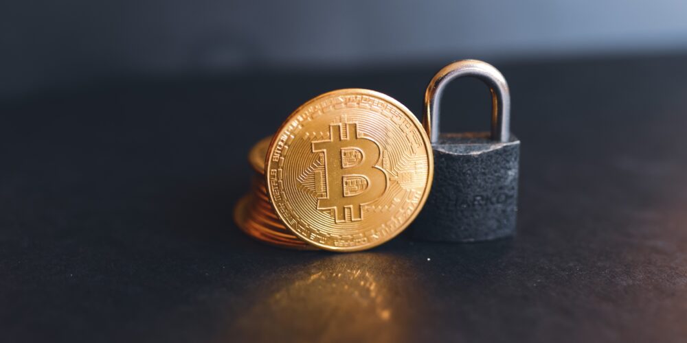 “Mega price increase for PUPS and NFTs! Bitcoin breaks NFT sales records! What’s new in the world of cryptocurrencies?”